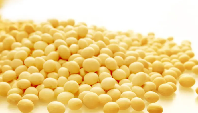 大豆卵磷脂在食品工业中的应用